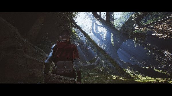 תמונה גדולה 6