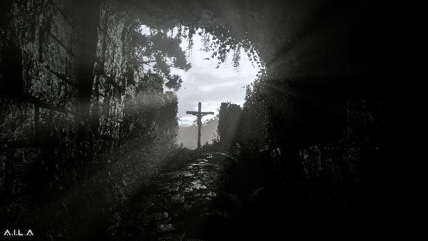 תמונה גדולה 5