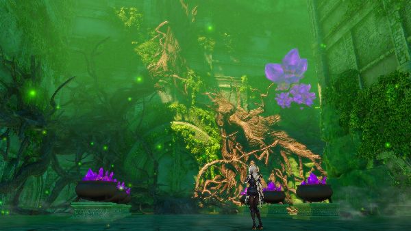 תמונה גדולה 8