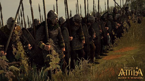 תמונה גדולה 2