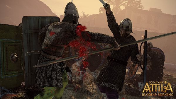 תמונה גדולה 1