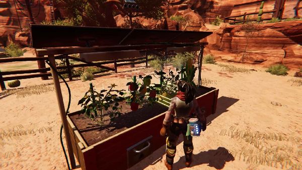 תמונה גדולה 5