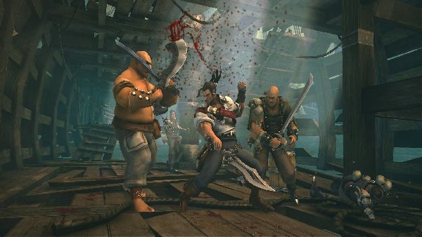 תמונה גדולה 7