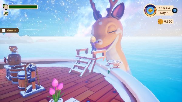 תמונה גדולה 3