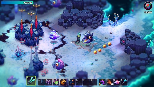 תמונה גדולה 8