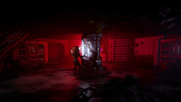 תמונה גדולה 4