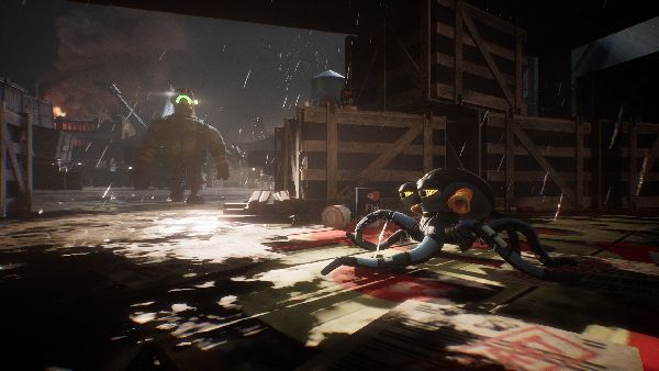 תמונה גדולה 7