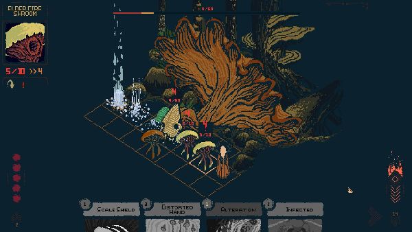 תמונה גדולה 6