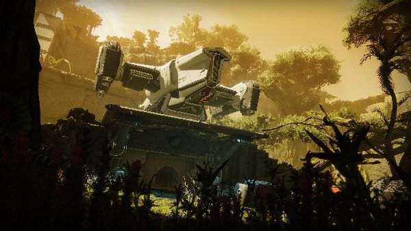 תמונה גדולה 2