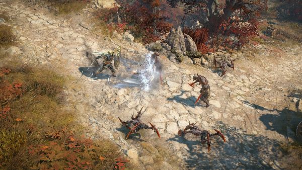 תמונה גדולה 3