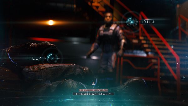 תמונה גדולה 6