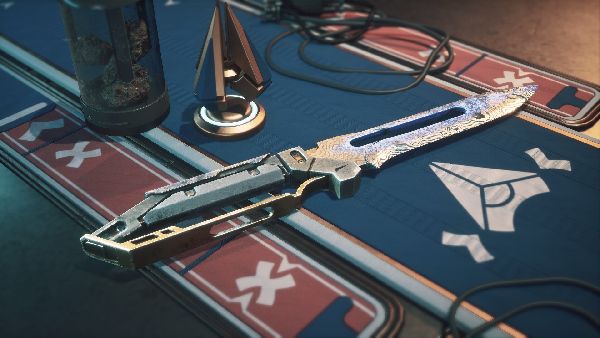 תמונה גדולה 2