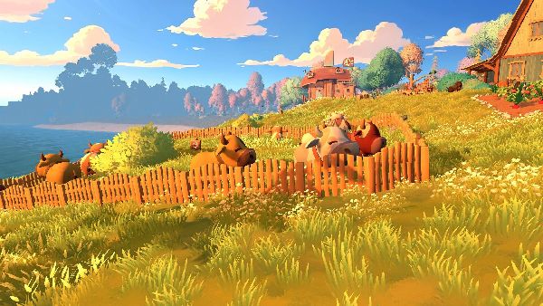 תמונה גדולה 1