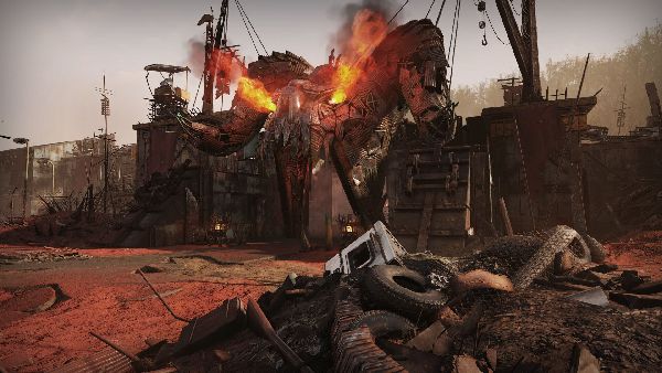 תמונה גדולה 2