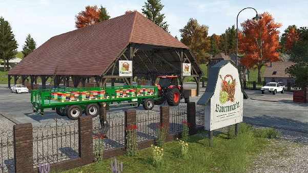 תמונה גדולה 4