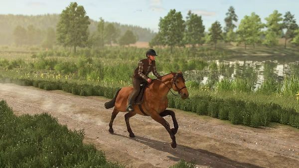 תמונה גדולה 6