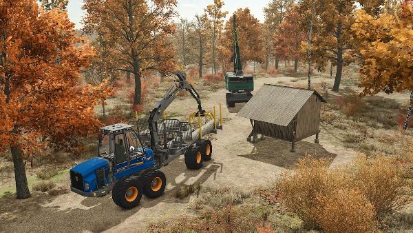 תמונה גדולה 2