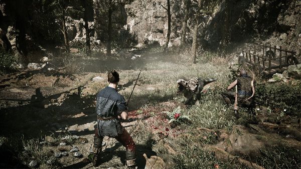 תמונה גדולה 2