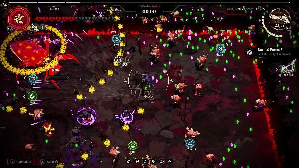 תמונה גדולה 2