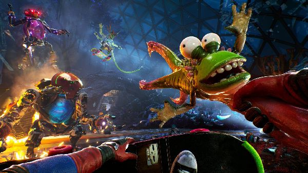 תמונה גדולה 3