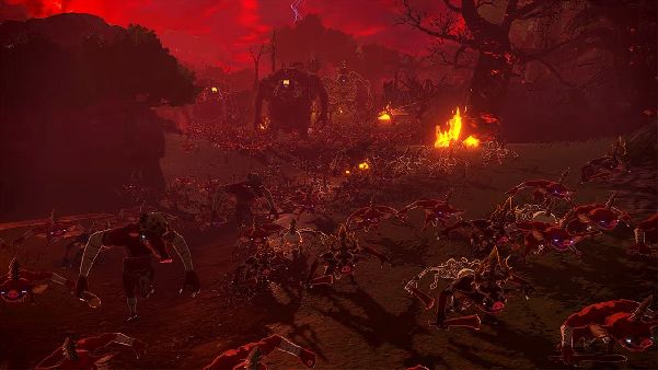 תמונה גדולה 3