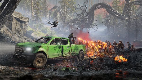 תמונה גדולה 7