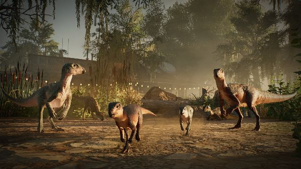 תמונה גדולה 8