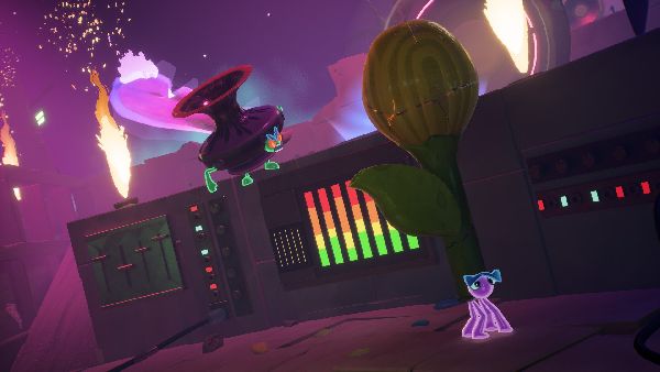 תמונה גדולה 8