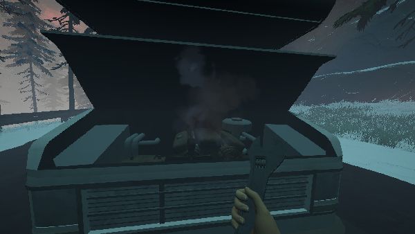 תמונה גדולה 2