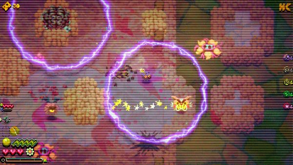 תמונה גדולה 1