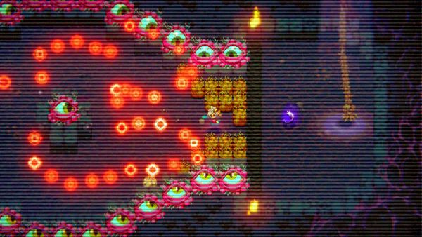 תמונה גדולה 2