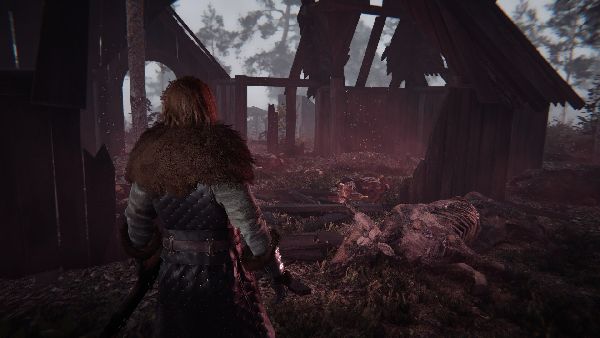 תמונה גדולה 2