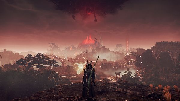 תמונה גדולה 7