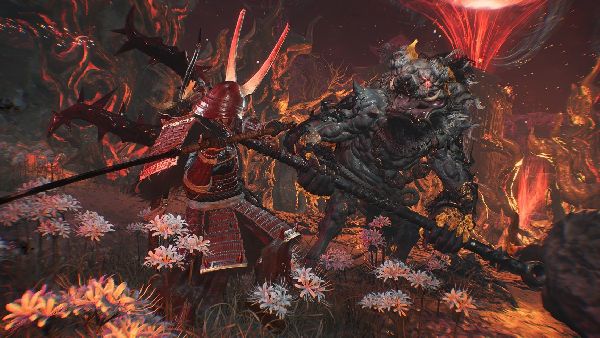 תמונה גדולה 4