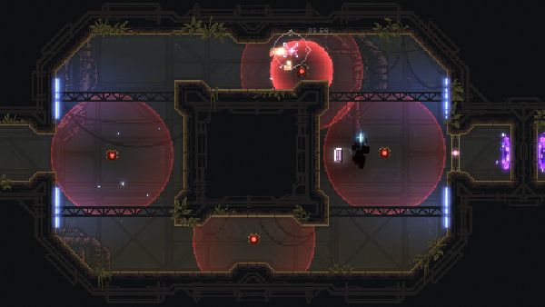 תמונה גדולה 5