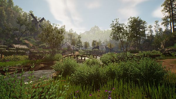 תמונה גדולה 7