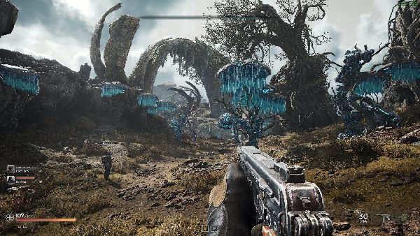 תמונה גדולה 7