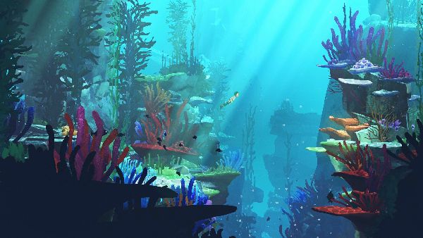 תמונה גדולה 3