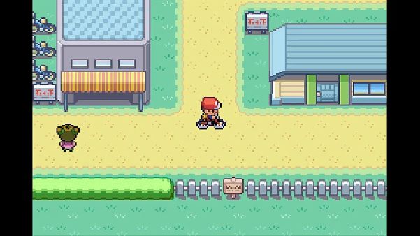 תמונה גדולה 4