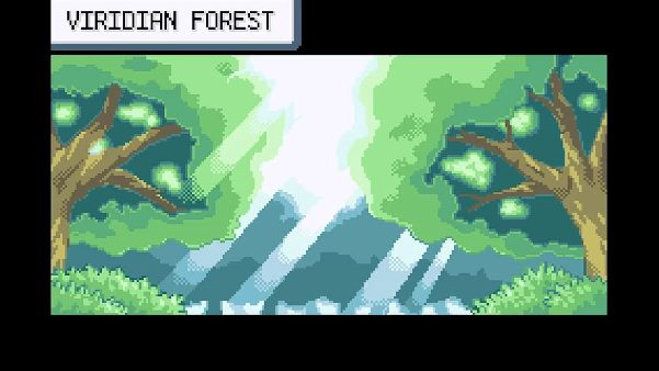 תמונה גדולה 5