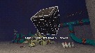 תמונה קטנה 5