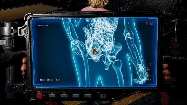 תמונה גדולה 1