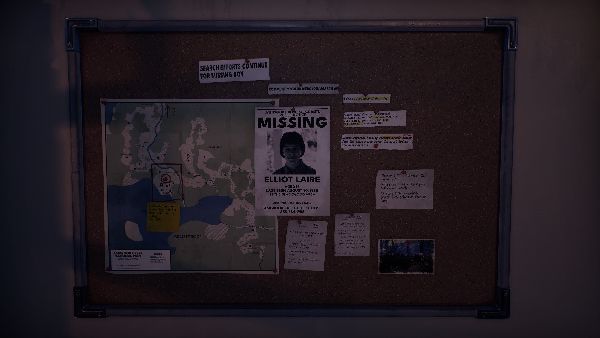 תמונה גדולה 2