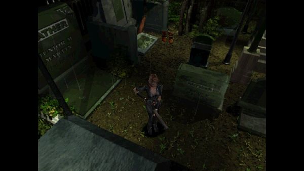 תמונה גדולה 8