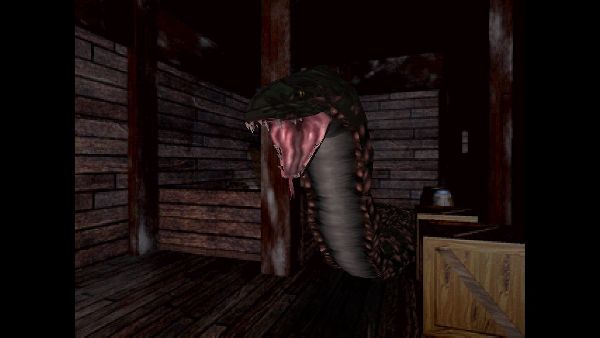 תמונה גדולה 7