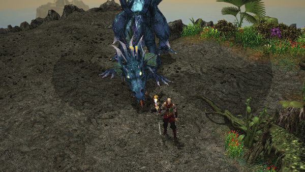 תמונה גדולה 5