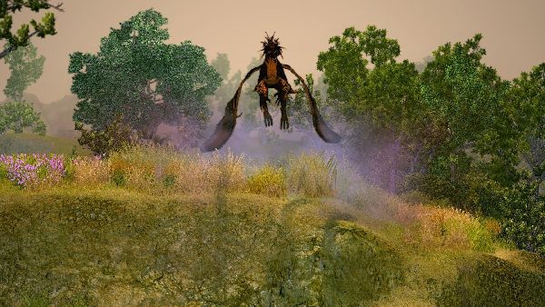 תמונה גדולה 6