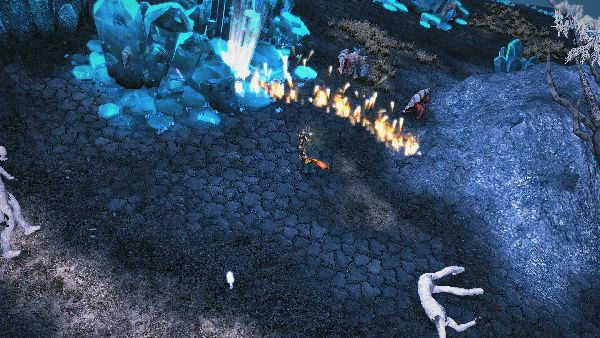 תמונה גדולה 3