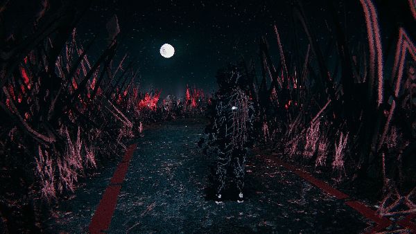 תמונה גדולה 3