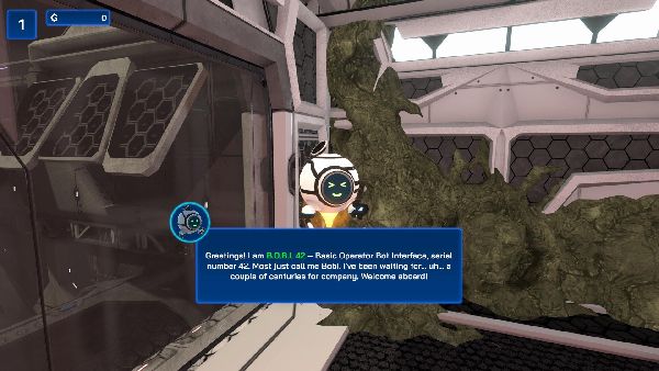 תמונה גדולה 3